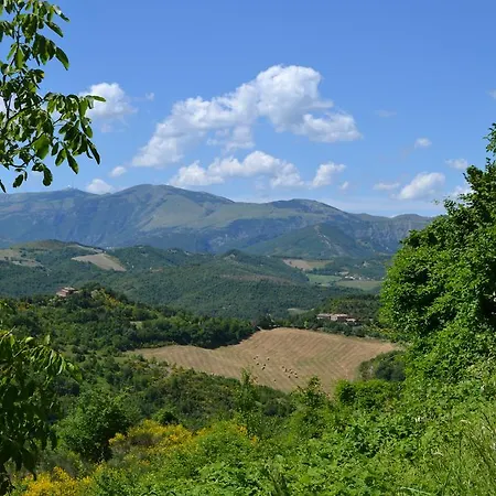I Tigli Sant Apollinare Apartment